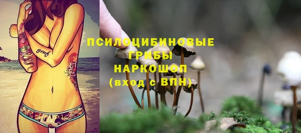 гашиш Вяземский