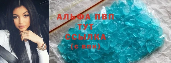 ГАЛЛЮЦИНОГЕННЫЕ ГРИБЫ Вязьма